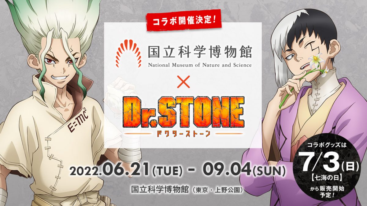 Dr.STONE ガチャガチャ カプセルトイ 場面写缶バッジ2 37個セット Dr